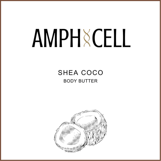 Organic Shea-Coco Body Butter