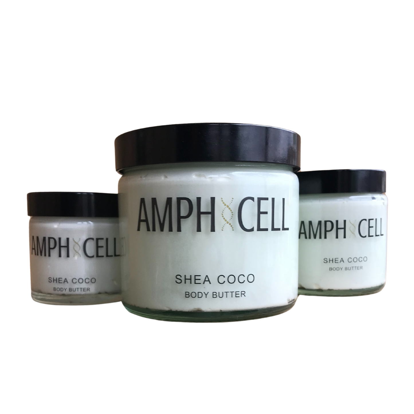 Organic Shea-Coco Body Butter