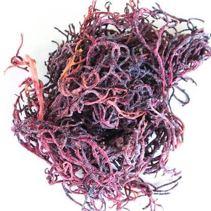 Pure Tanzanian Wildcrafted Purple Seamoss Gel: Nature's Rare Nutrient Treasure